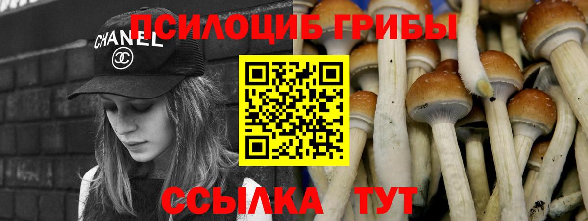 Сердобск  Галлюциногенные грибы Psilocybine cubensis  Вход с VPN 